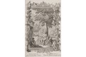 Strom pozn&aacute;n&iacute; dobr&eacute;ho i zl&eacute;ho Adam, Scheuzer, mědiryt, 1731