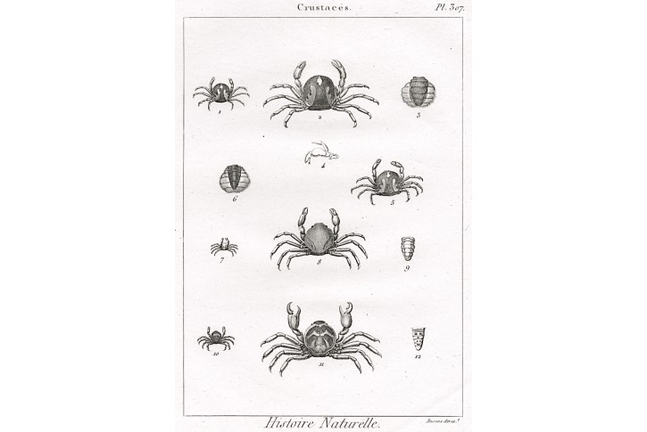 Krabi II., Diderot,  mědiryt , 1790