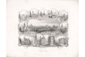 Heidelberg, Payne, oceloryt, 1860