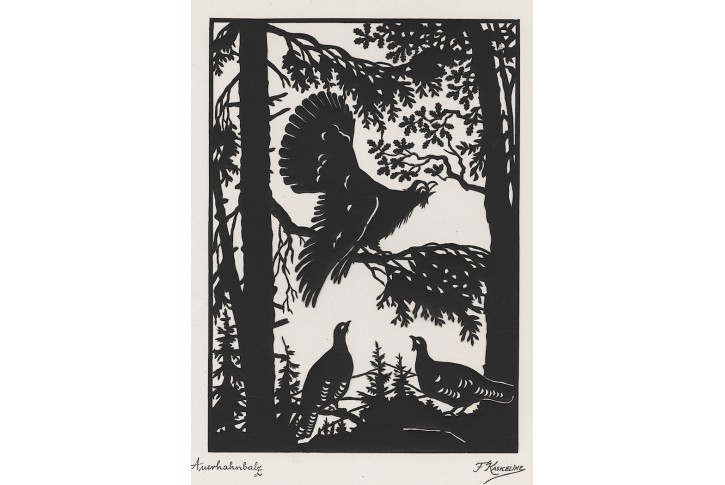 Silueta  vystřižená , Tetřev tokající , (1920)