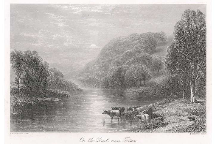 Dart near  Totnes, oceloryt, (1860)