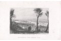 Mount Ida, Meyer, oceloryt, 1850