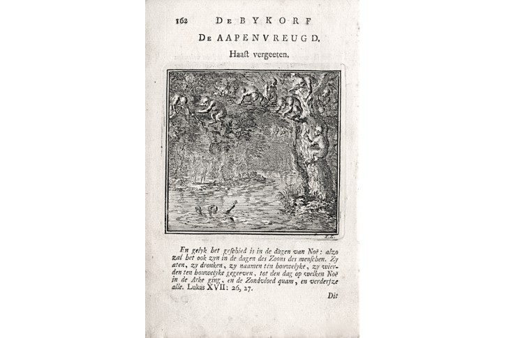 Opice , Jan Luyken, , mědiryt, 1711