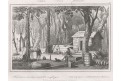 Oceanie trosečníci, Rienzi, oceloryt,1836