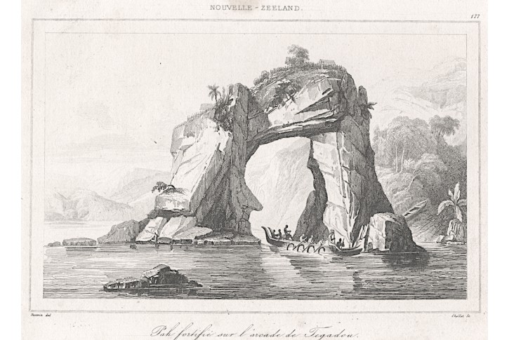 Tegadou New Zeeland, Rienzi, oceloryt,1836