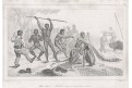 Australie Basi tervis,  Rienzi, oceloryt,1836