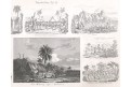 Australie II, oceloryt,1844
