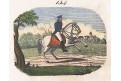 Kůň jezdec, kolor. mědiryt, (1810)
