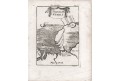 Novaja Zemlja, Mallet, mědiryt, 1719