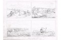 Bizon lov , litografie,. (1860)