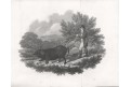 Divočák lov, mědiryt ,1805