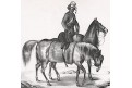 Kůň jezdec , litografie, (1830)