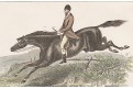 Kůň skok přes překážku , kolor. dřevoryt, (1880)