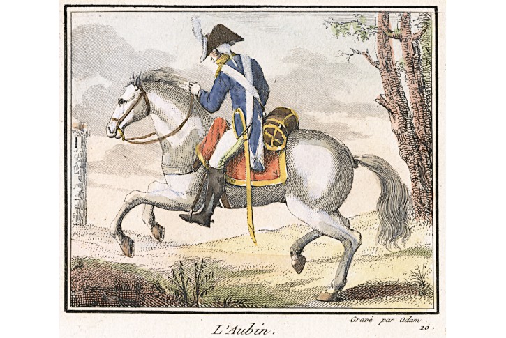 Kůň l'Aubin, kolor. mědiryt, (1810)