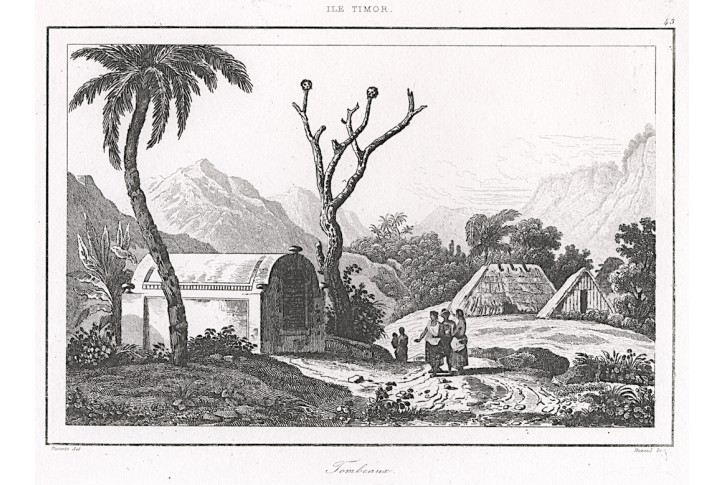 Timor , Rienzi, oceloryt,1836
