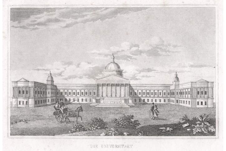 London University, oceloryt, (1835)