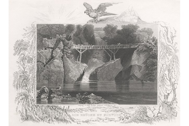 Norwich bridge, Payne, oceloryt, 1850