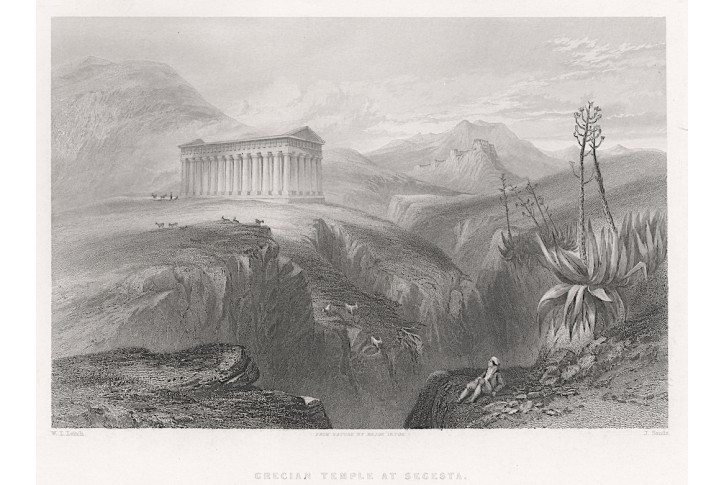 Segesta, Fischer oceloryt, (1840)