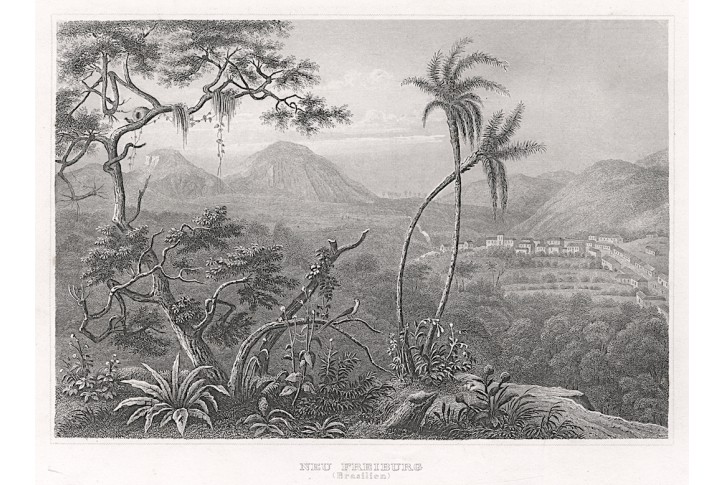 Nova Friburgo, Meyer, oceloryt, 1850