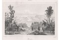 Piauchy, oceloryt, 1838