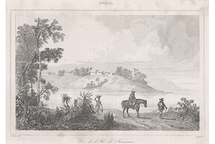 Tamaraca, oceloryt, 1838