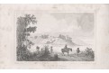 Tamaraca, oceloryt, 1838