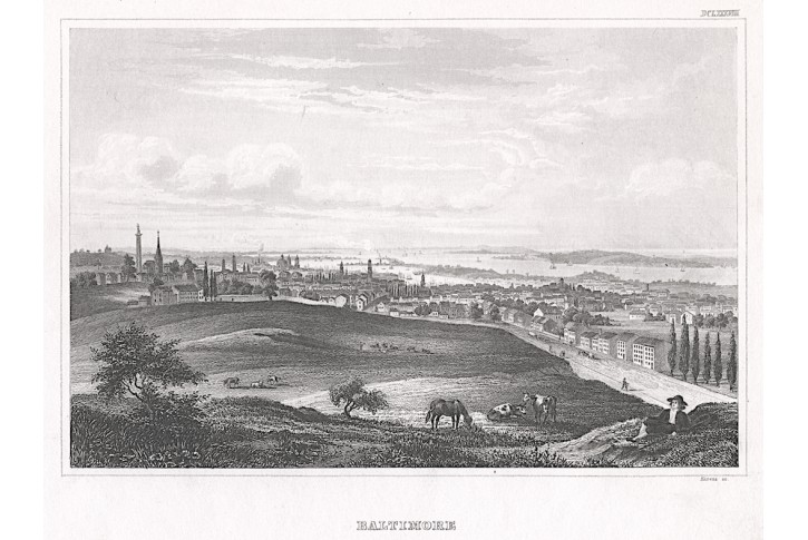 Baltimore, Meyer, oceloryt, 1850