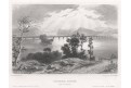 Columbia Bridge, Meyer, oceloryt, 1850