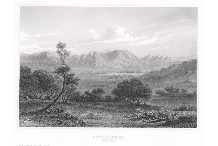 Tintellust, Meyer, oceloryt, 1850