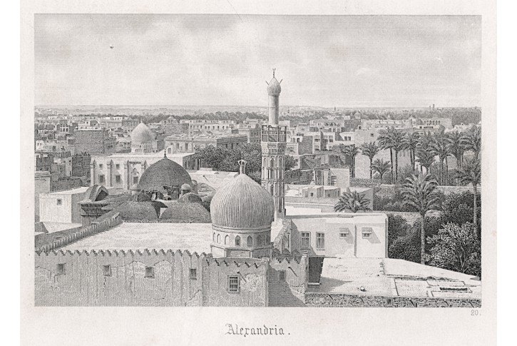 Alexandria, oceloryt, (1860)