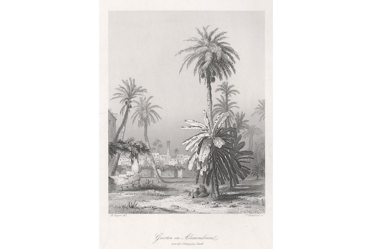 Alexandrie, Payne, oceloryt 1860