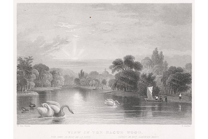 Haag park, oceloryt, (1840)