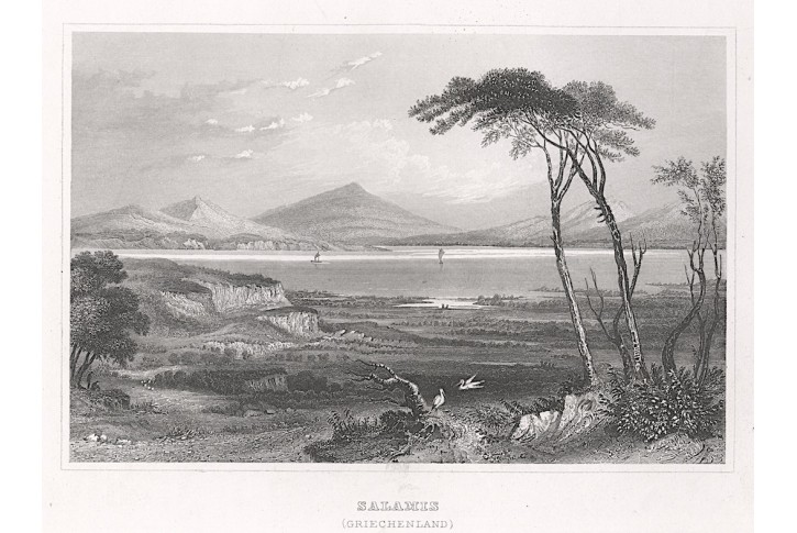 Salamis, Meyer, oceloryt, 1850
