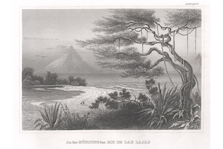 Rio Las Lajas, Meyer, oceloryt, 1850