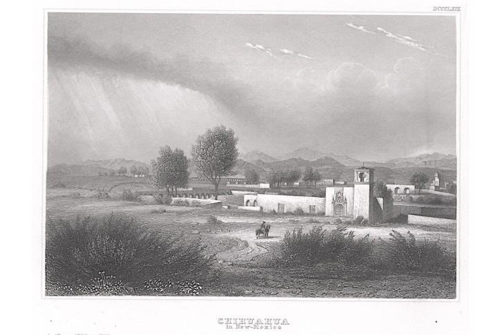 Chihuahua, Meyer, oceloryt, 1850