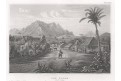 Los Pozas Cuba, Meyer, oceloryt, 1850