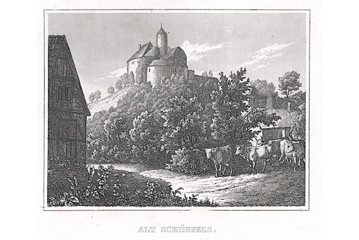 Alt Schönfels, Kleine Universum, oceloryt, (1840)