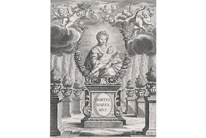 Hortus Marianus, Hainzelmann,  mědiryt , 1682
