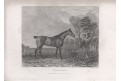 Kůň, Smaragdine, mědiryt, 1832