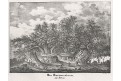 Etna kaštan, Medau, litografie, (1840)