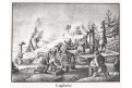 Laponci,  Medau litografie, 1830