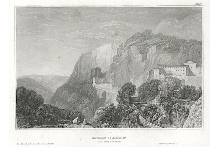 Libanon San Antonio, Meyer, oceloryt, 1850