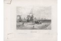 Astrachan, Meyer, oceloryt, (1850)