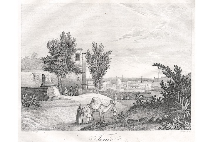 Tunis, Medau, litografie, (1850)