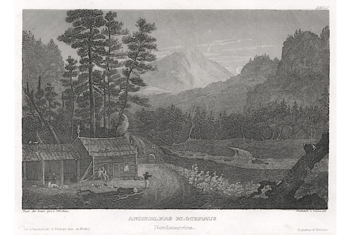 Amerika srub, Meyer, oceloryt, 1850