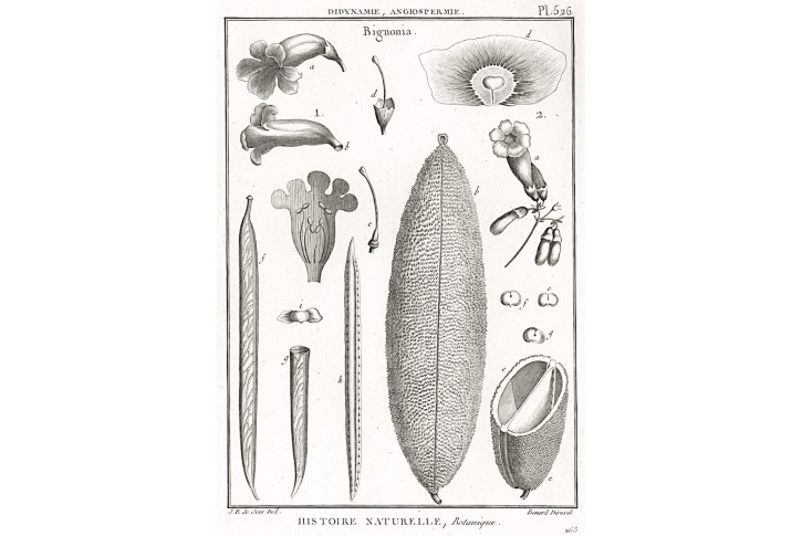 Trubač, Diderot,  mědiryt , 1790