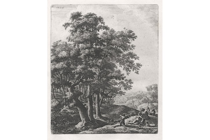 Waterloo : Krajina Venuše a Adonis, lept (1650)
