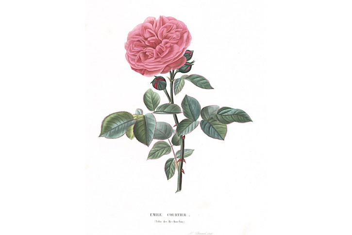 Emile Courtier, Bricogne, kolor. akvatinta, 1846