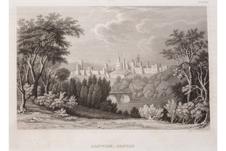 Alnwick Castle, Meyer, oceloryt, 1850