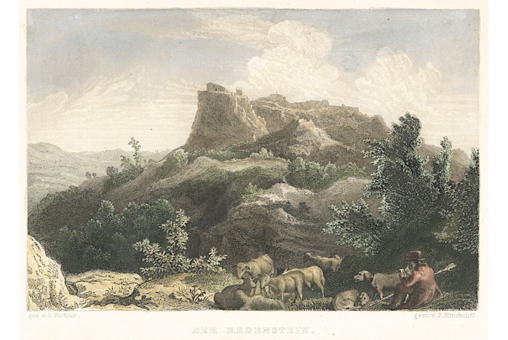 Regenstein,kolor. oceloryt, 1838